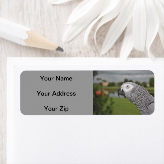 African Grey Lakeside (Insitu)