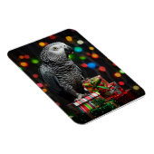 African Grey on Gifts — Festive Greeting Card Magnet (Rechte Seite)