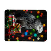 African Grey on Gifts — Festive Greeting Card Magnet (Horizontal)