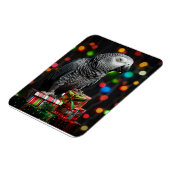 African Grey on Gifts — Festive Greeting Card Magnet (Linke Seite)