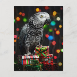African Grey on Gifts — Festive Greeting Card Postkarte