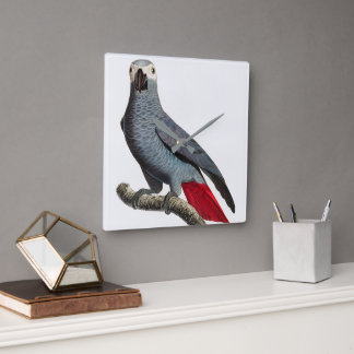 African Grey Papageien Kunst – Schöner Exotischer  Quadratische Wanduhr