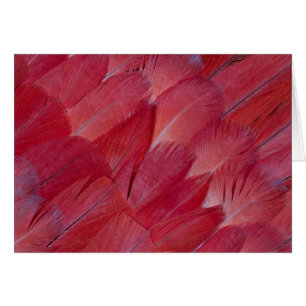 African Grey Papageienfeder-Design