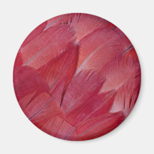 African Grey Papageienfeder-Design Magnet