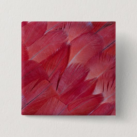 African Grey Parrot Feather Design Button (Vorderseite)