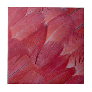 African Grey Parrot Feather Design Fliese