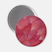 African Grey Parrot Feather Design Magnet (Vorderseite/Rückseite)