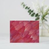 African Grey Parrot Feather Design Postkarte (Stehend Vorderseite)