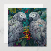 African Grey Persimmon-Berry Duet (Vorne/Hinten)