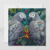 African Grey Persimmon-Berry Duet (Vorderseite)