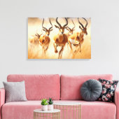 African Impala Leinwand Art (Insitu (Wohnzimmer))