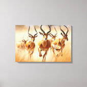 African Impala Leinwand Art (Vorderseite)