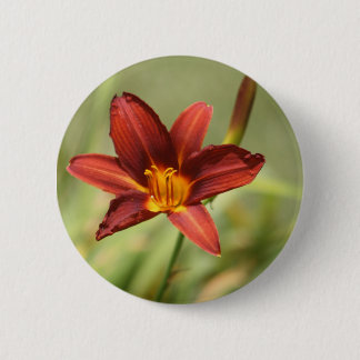 African Lily Abzeichen Button