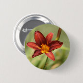 African Lily Abzeichen Button (Vorne & Hinten)