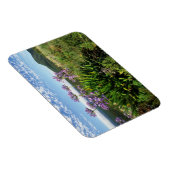 African Lily (Agapanthus praecox), Mossel Bay Magnet (Rechte Seite)