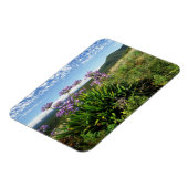 African Lily (Agapanthus praecox), Mossel Bay Magnet (Linke Seite)