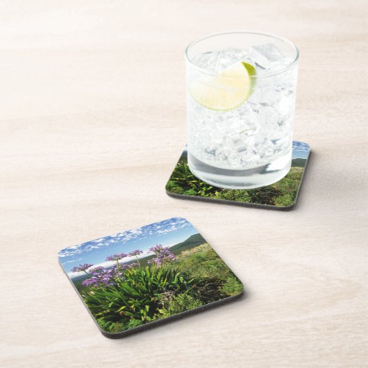 African Lily (Agapanthus praecox), Mossel Bay Untersetzer (Rechte Seite)