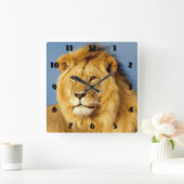 African Lion 2 Quadratische Wanduhr (Zuhause)