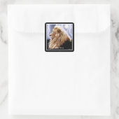 AFRICAN LION Big Five Cat Wildlife Stickers (Tasche)
