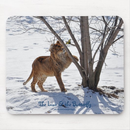 African Lion & Butterfly Foto Mousepad (Vorne)