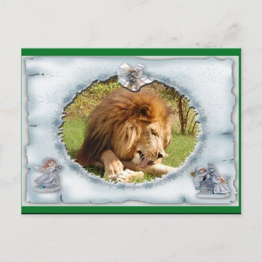 African Lion Christmas Postcard Feiertagspostkarte (Vorderseite)