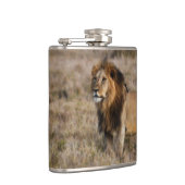 African Lion Flask Flachmann (Rechts)