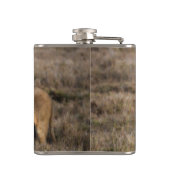 African Lion Flask Flachmann (Rückseite)