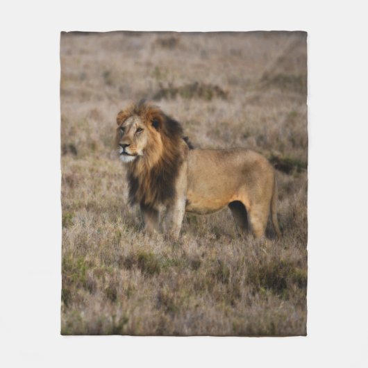 African Lion Fleece Blanket (Vorderseite)