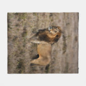 African Lion Fleece Blanket (Vorderseite (Horizontal))