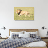 African Lion in der Savanna Wrapped Canvas Print Leinwanddruck (Insitu (Schlafzimmer))