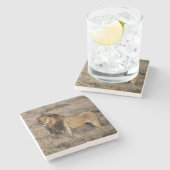African Lion Marble Stone Untersetzer (Seitenansicht)