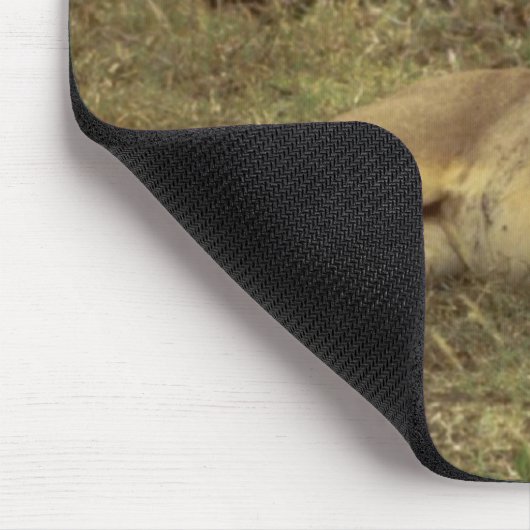 African Lion Mousepad (Ecke)