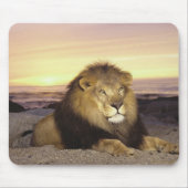 African Lion Mousepad (Vorne)