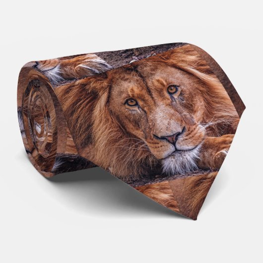 African Lion Neck Tie Krawatte (Gerollt)