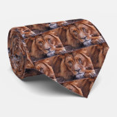 African Lion Neck Tie Krawatte (Gerollt)