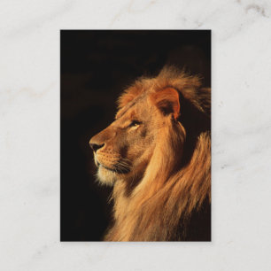 African Lion Powerfull - Two Side Business Card Visitenkarte