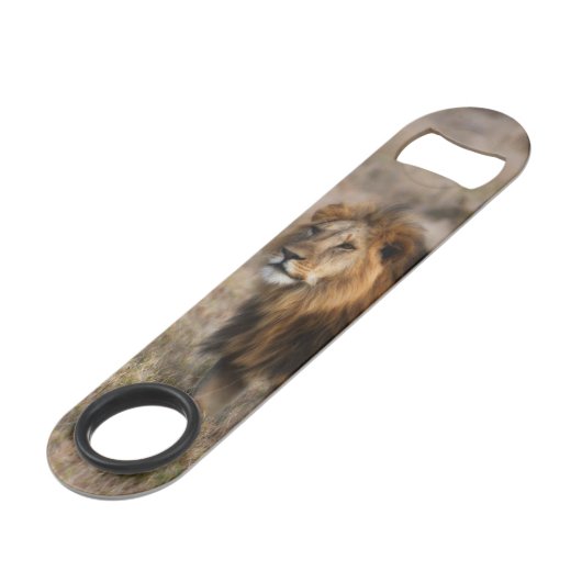 African Lion Speed Bottle Opener Speedflaschenöffner (Vorderseite Schrägansicht)