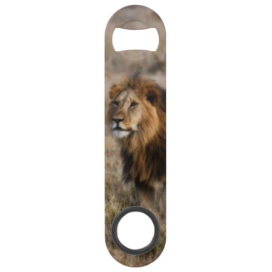 African Lion Speed Bottle Opener Speedflaschenöffner (Vorderseite)