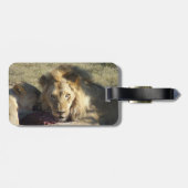 African Lion Stare Gepäckanhänger (Rückseite horizontal)