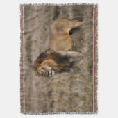 African Lion Throw Blanket Decke (Vorderseite Vertikal)