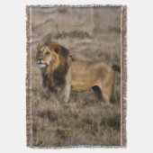 African Lion Throw Blanket Decke (Vorderseite Vertikal)