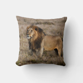 African Lion Throw Pillow Kissen