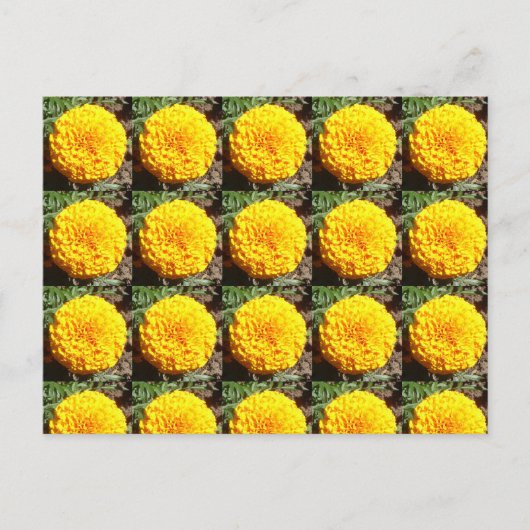 African Marigolds Pattern Postkarte (Vorderseite)