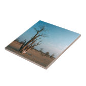 African Moringo Tree on Schlicht, Etosha National Fliese (Seite)