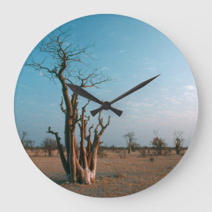 African Moringo Tree on Schlicht, Etosha National Große Wanduhr