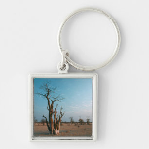 African Moringo Tree on Schlicht, Etosha National Schlüsselanhänger
