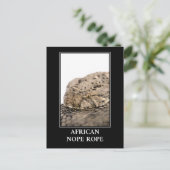 African Nope Rope - Puff adder Snake Danger Postkarte (Stehend Vorderseite)