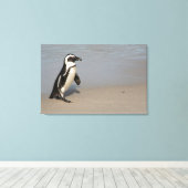 African Penguin Walking Leinwanddruck (Insitu (Holzboden))
