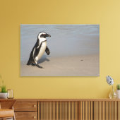 African Penguin Walking Leinwanddruck (Insitu (Wohnzimmer))