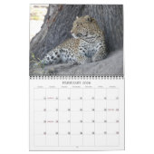 AFRICAN PHOTO SAFARI - BOTSWANA & SOUTH AFRICA KALENDER (Feb 2026)